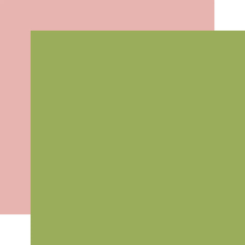 Echo Park - A Birthday Wish Girl - 12x12 Single Sheet - Coordinating Solids - Green/Pink