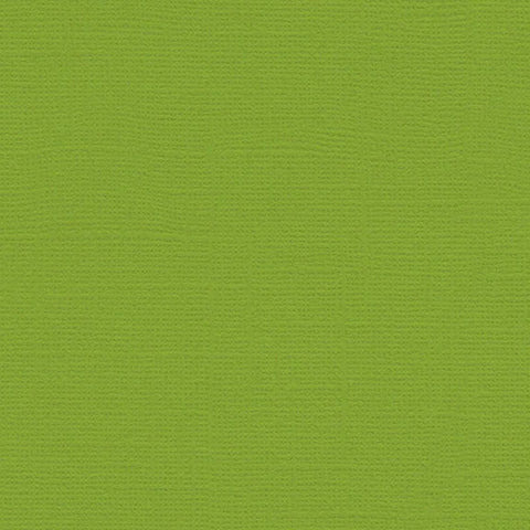 My Colors Cardstock - Canvas 12x12 Single Sheet - Mint Julep
