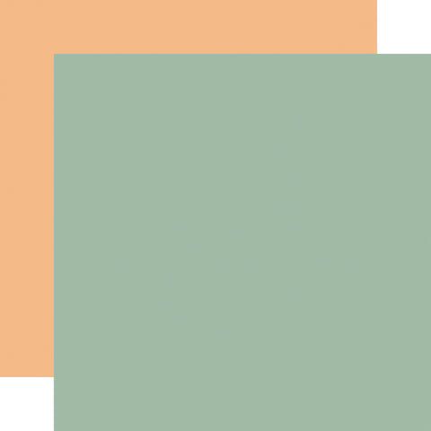 Echo Park - Our Baby Boy - 12x12 Single Sheet - Coordinating Solids - Green / Orange