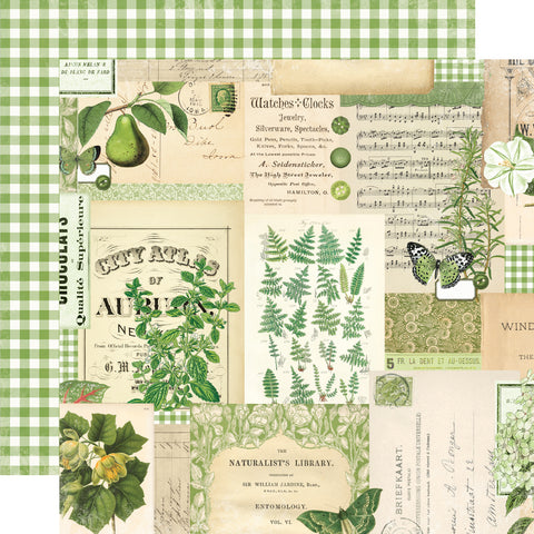 Simple Stories - Simple Vintage Essentials Color Palette - 12x12 Single Sheet - Green Collage
