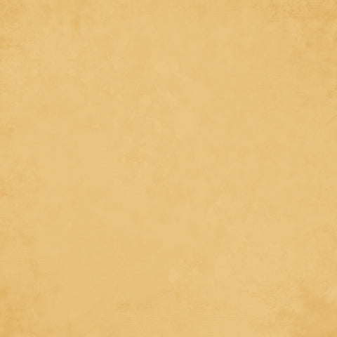 Simple Stories - Simple Vintage Autumn Breeze - 12x12 Single Sheet - Saffron Gingham