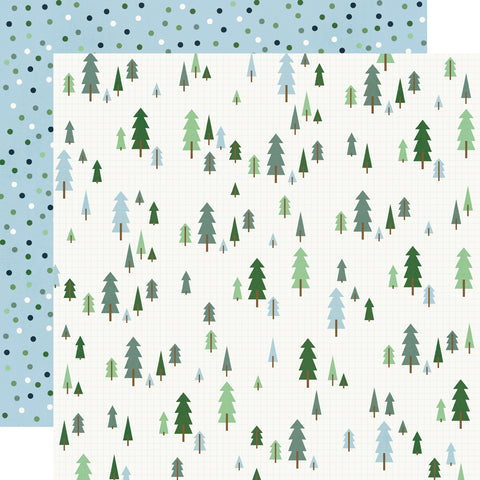 Simple Stories - Simple Vintage Flannel Season  - 12x12 Single Sheet - Frosted Fun