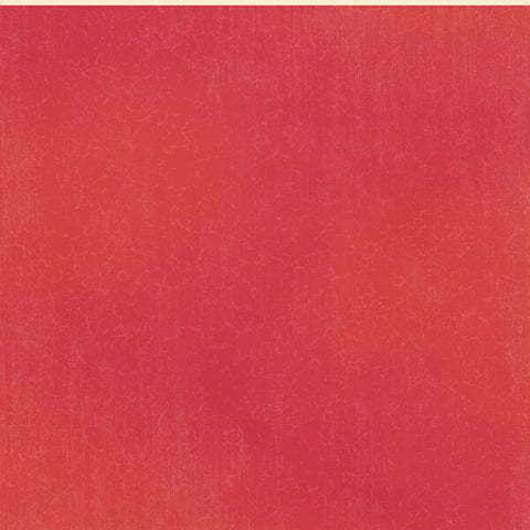 G45 - Seas The Day - 12x12 Single Sheet - Pattern & Solid - Coral Red