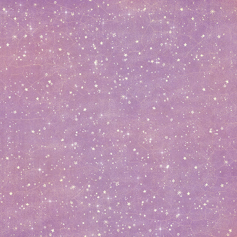 G45 - Fairy Boutique - 12x12 Single Sheet - Fairy Boutique