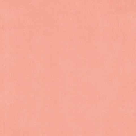 G45 - Fairy Boutique - 12x12 Single Sheet - Pattern & Solids - Posey Pink