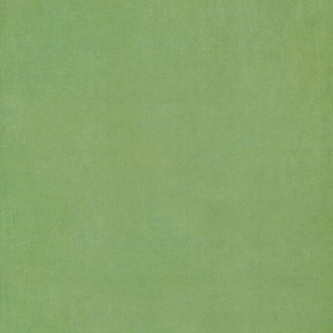 G45 - Fairy Boutique - 12x12 Single Sheet - Pattern & Solids - Spring Green