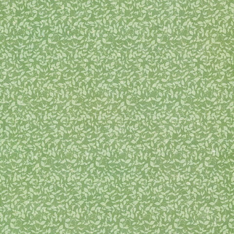 G45 - Fairy Boutique - 12x12 Single Sheet - Pattern & Solids - Spring Green