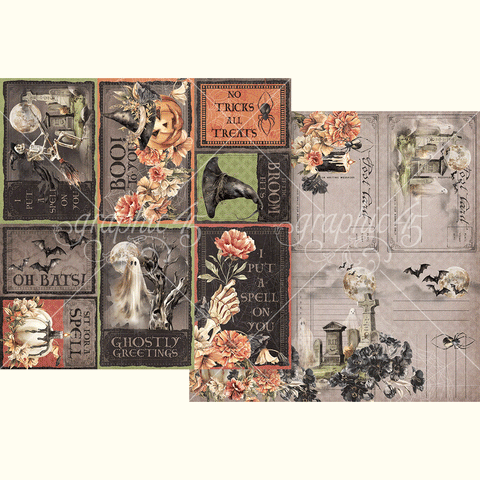 G45 - Ghostly Greetings - 12x12 Single Sheet - If the Broom Fits