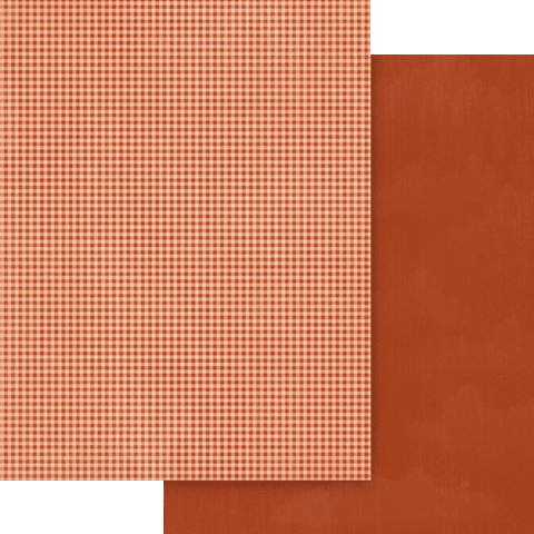 G45 - Wonder of Oz - 12x12 Single Sheet - Pattern & Solid - Poppy Red Check