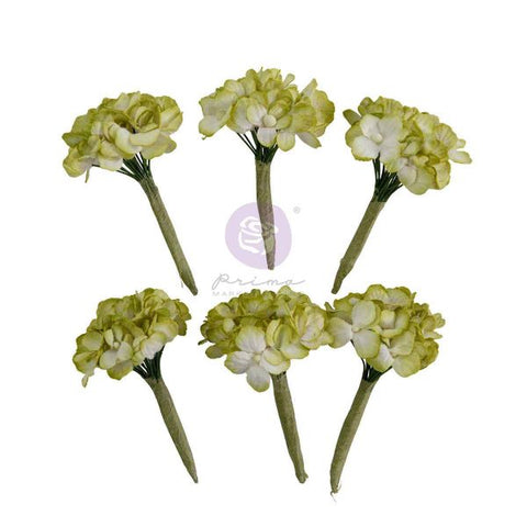Prima - Homegrown - Flowers/ Garden Hydrangea Mist 3658