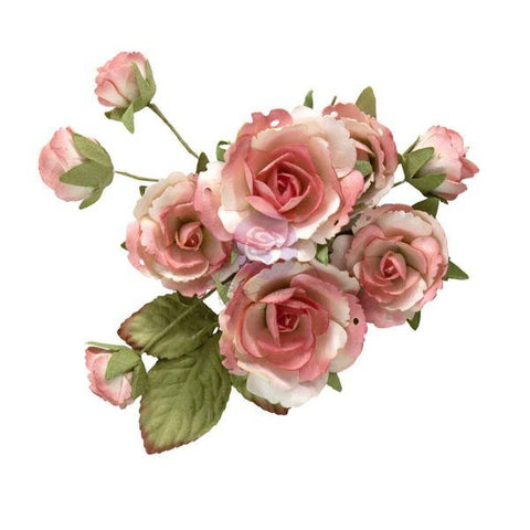 Prima - Homegrown - Flowers/ Garden Rose Blush 3672