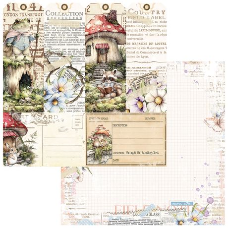 49 & Market - The Looking Glass - 12x12 Single Sheets / Collector of Echoes