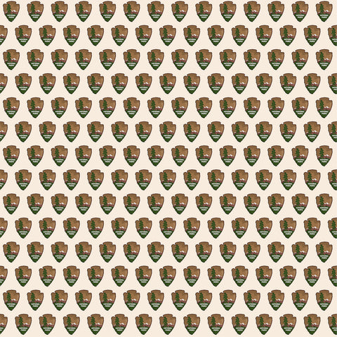 Carta Bella - National Parks - 12x12 Single Sheet - Arrowheads