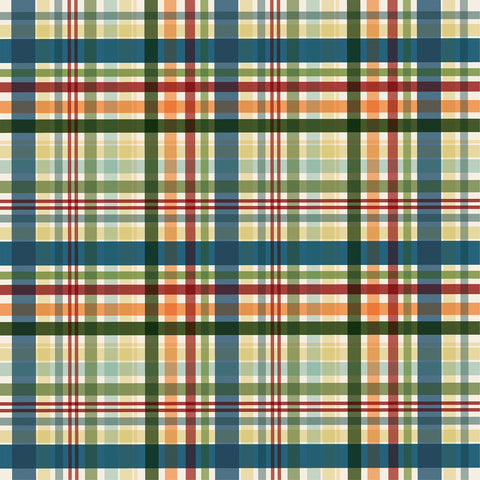 Carta Bella - National Parks - 12x12 Single Sheet - National Parks Map