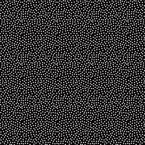 Echo Park - Chickens - 12x12 Single Sheets - Multi Journaling Cards