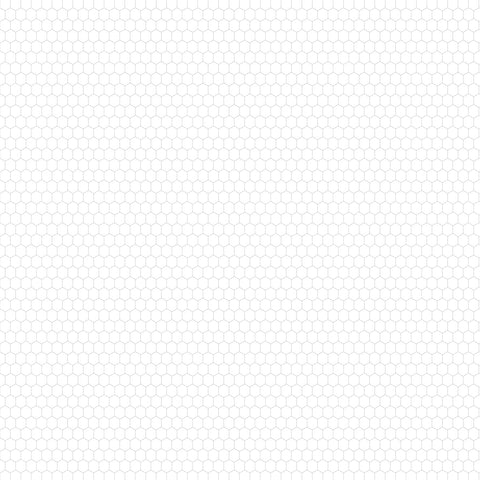 Echo Park - Chickens - 12x12 Single Sheets - Mama Hen And Chicks