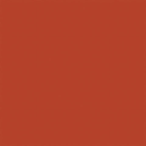 Echo Park - Chickens - 12x12 Single Sheets - Coordinating Solid - Red / Blue