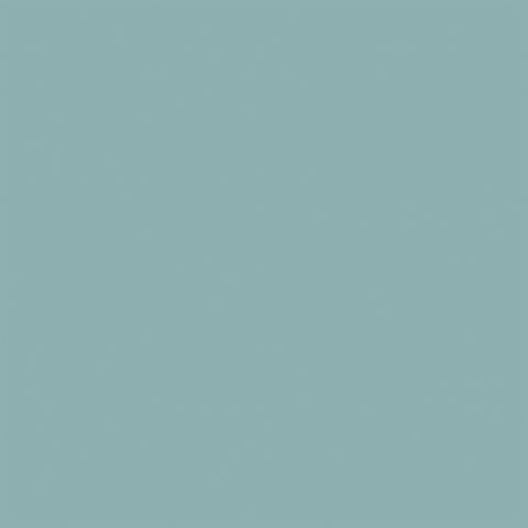 Echo Park - Chickens - 12x12 Single Sheets - Coordinating Solid - Red / Blue