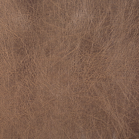 49 & Market - Nostalgic Memories - 12x12 Solid Single Sheets - Solid #1