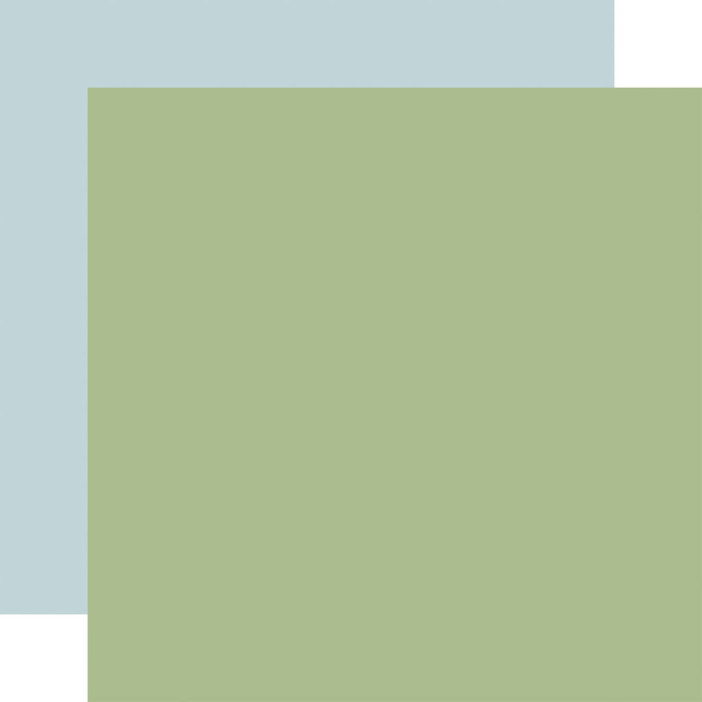 Echo Park - Fairy Garden - 12x12 Single Sheet - Coordinating Solids - Green/Lt Blue