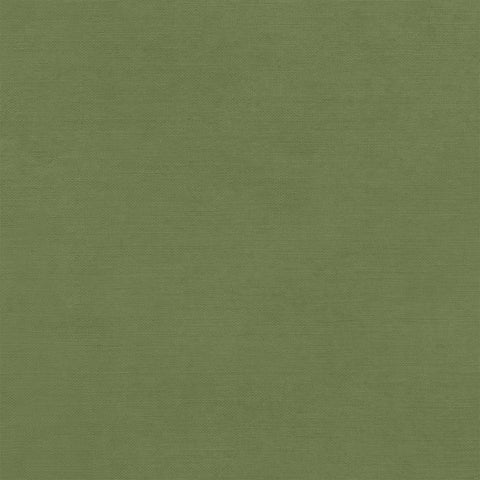 49 & Market - Nature's Haven - 12x12 Solid Single Sheets - Forest