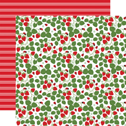 Echo Park - Little Ladybug - 12x12 Single Sheet / Sweet Strawberries