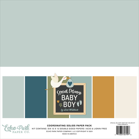 Echo Park - Special Delivery Baby Boy - 12x12 Coordinating Solids Kit