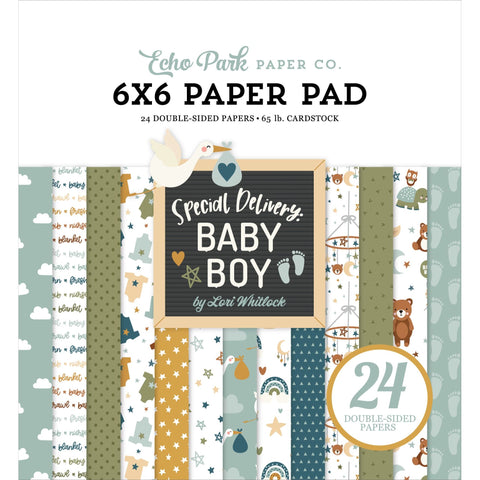 Echo Park - Special Delivery Baby Boy - 6x6 Paper Pad