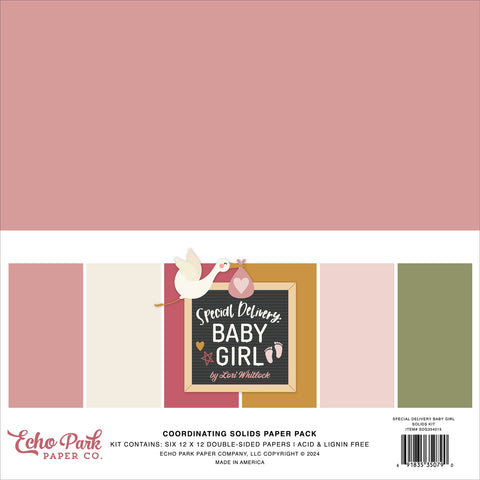 Echo Park - Special Delivery Baby Girl - 12x12 Coordinating Solids Kit