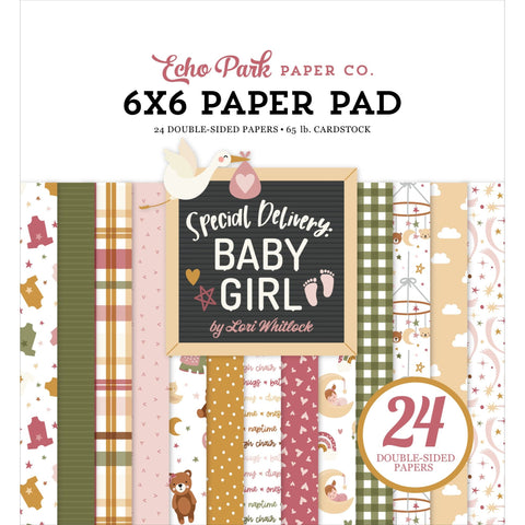 Echo Park - Special Delivery Baby Girl - 6x6 Paper Pad