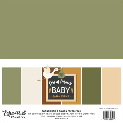 Echo Park - Special Delivery Baby - 12x12 Coordinating Solids Kit