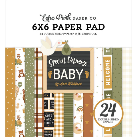 Echo Park - Special Delivery Baby - 6x6 Paper Pad