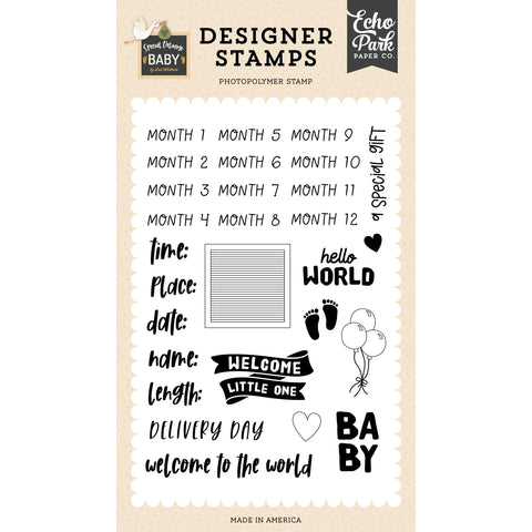 Echo Park - Special Delivery Baby - Baby Stats Stamp Set