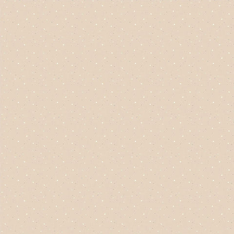 Photo Play - Silent Night - 12x12 Single Sheets / Nativity