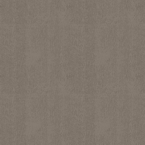 Photo Play - Silent Night - 12x12 Single Sheets / City of Bethlehem