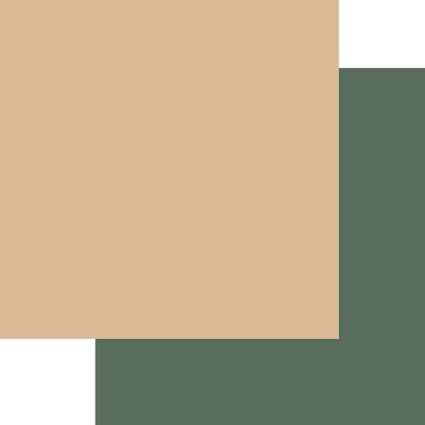 Country Craft Creations - Christmas Delights - 8x8 - Solid Coordinating Colors - Cotton Bristol