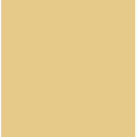 Artisan Cardstock - 80lb Solid Cardstock - Amber - Single Sheet #25