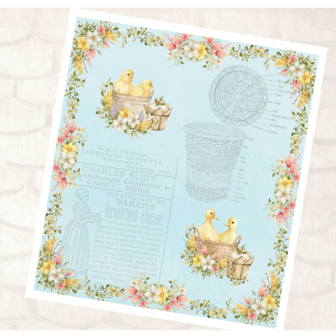 Country Craft Creations - Blossoms in Springtime 12x12 Single Sheets / #5