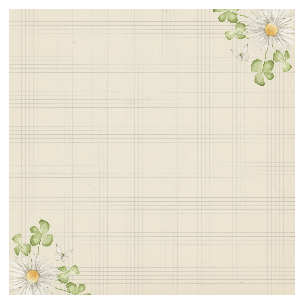 Country Craft Creations - Schoolhouse Memories - 28 sheets of  8x8- Cotton Bristol
