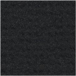 My Colors Cardstock - Glimmer 12x12 Single Sheet - Black Bear