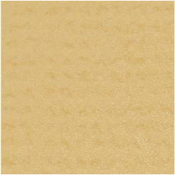 My Colors Cardstock - Glimmer 12x12 Single Sheet - Sandpaper