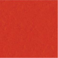 My Colors Cardstock - Canvas 12x12 Single Sheet - Harvest Orange