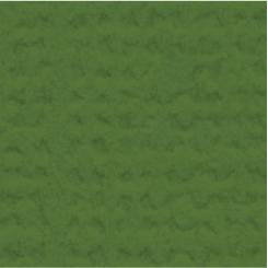 My Colors Cardstock - Canvas 12x12 Single Sheet - Desert Cactus