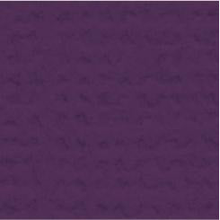 My Colors Cardstock - Canvas 12x12 Single Sheet - Grape Vine
