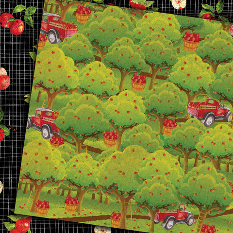 Country Craft Creations - Autumn Orchard - 28 12x12 sheets  - Cotton Bristol