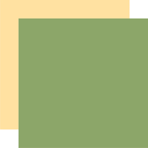 Echo Park - Bee Happy - 12x12 Single Sheet - Coordinating Solids - Green/Lt Yellow
