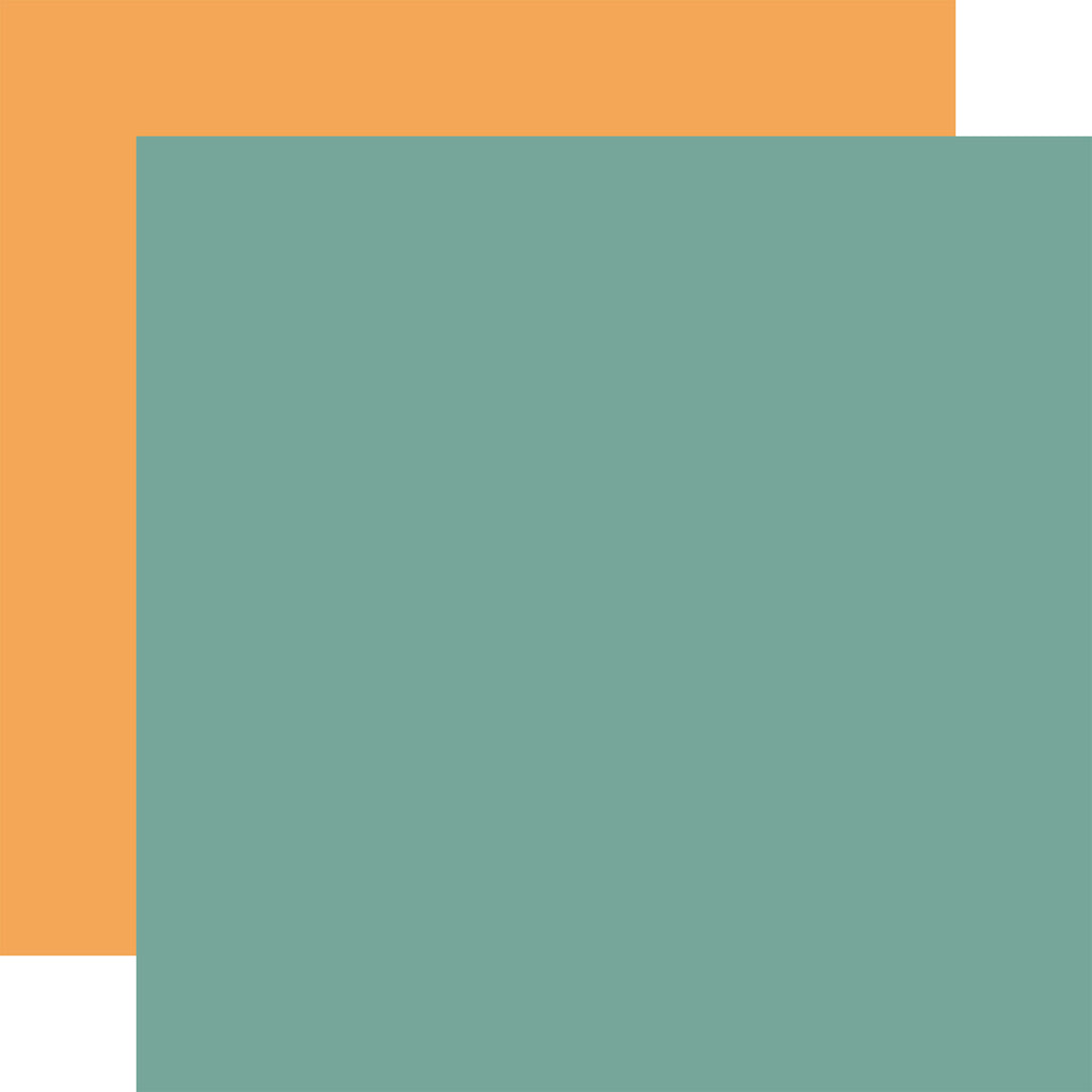 Echo Park - A Birthday Wish Girl - 12x12 Single Sheet - Coordinating Solids - DkTeal/Orange