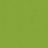 My Colors Cardstock - 100lb Heavyweight 12x12 Single Sheet - Crisp Green