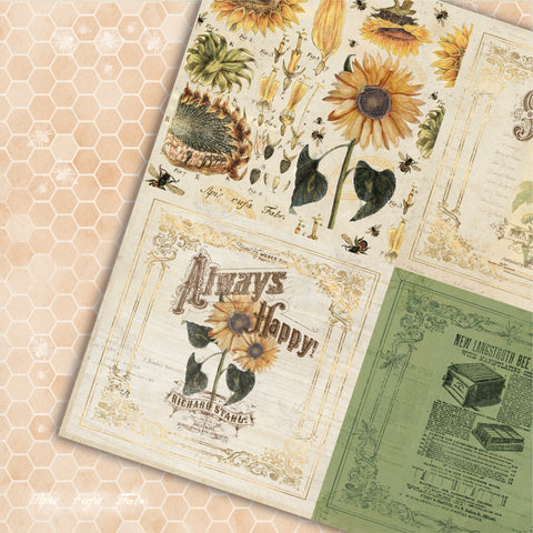 Country Craft Creations - Always Happy - 8x8 - Cotton Bristol