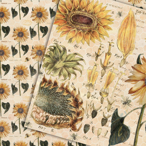 Country Craft Creations - Always Happy - 8x8 - Cotton Bristol